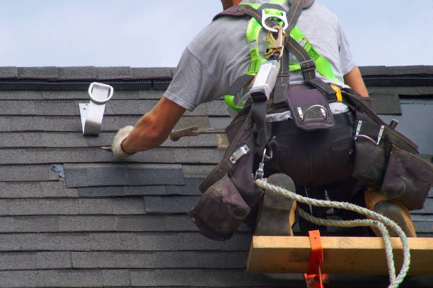 Best Green or Eco-Friendly Roofing Solutions  in Robbins, IL